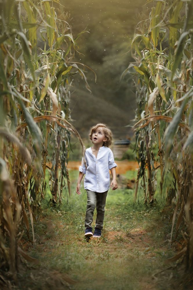 Photograph by VIEGAS JANE