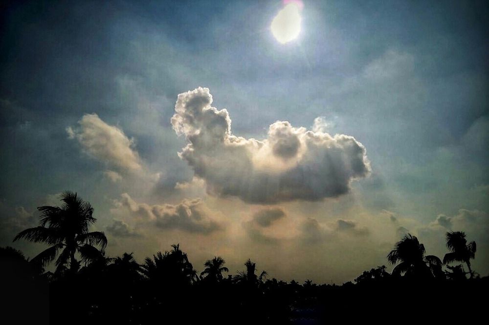 Photograph by Pralay Samanta