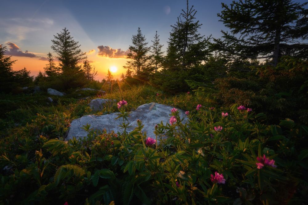 Photograph by Чевтаев Егор