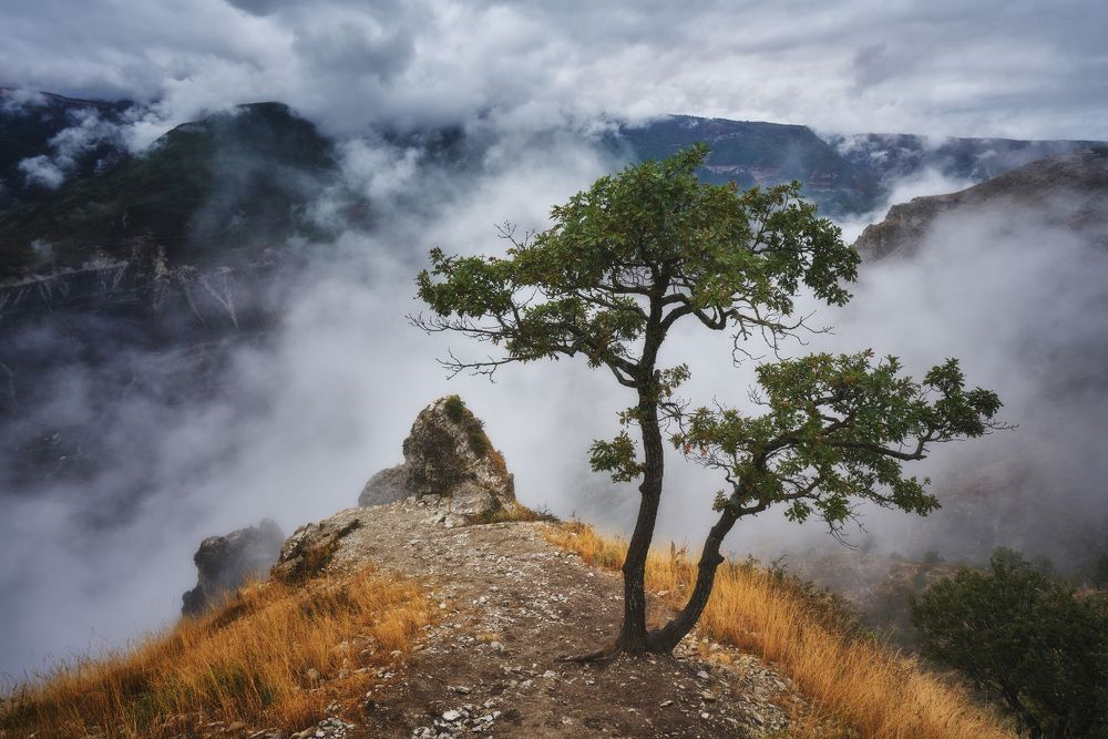 Photograph by Чевтаев Егор