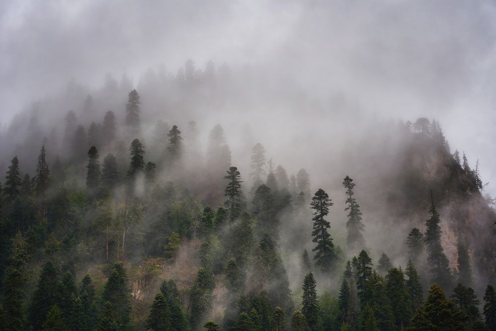 Photograph by Чевтаев Егор