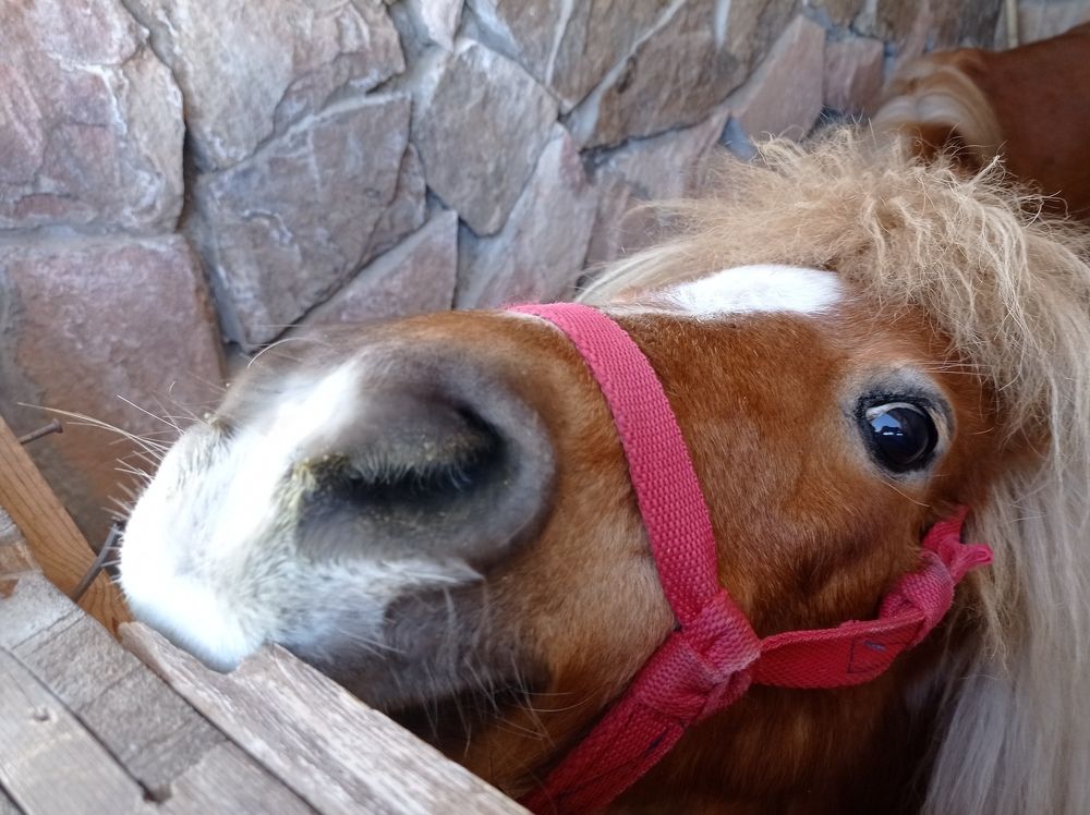 Фотография автора Aida