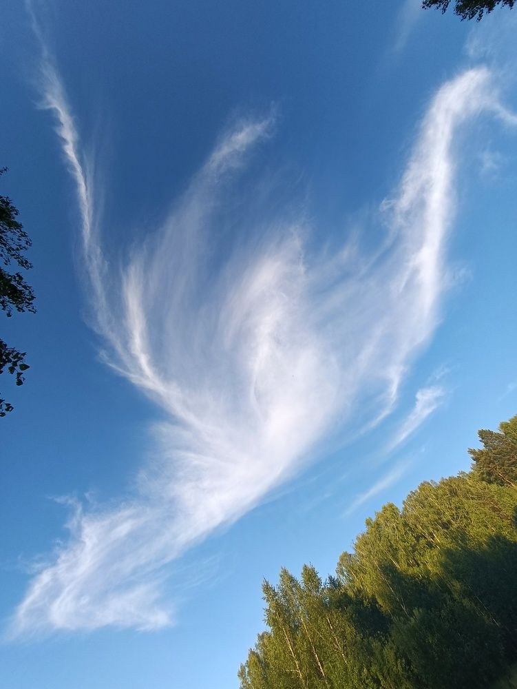 Photograph by Елена Бородина