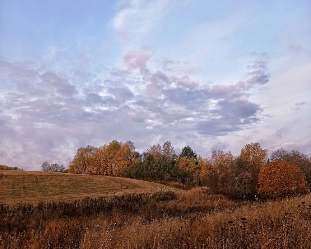 Photograph by Ольга Третьякова