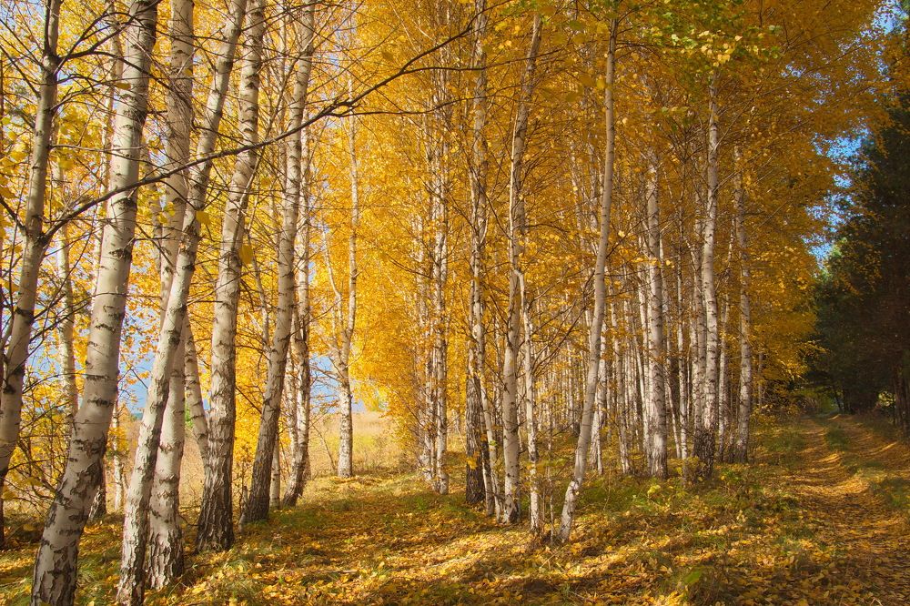 Photograph by Василий Быстрицкий