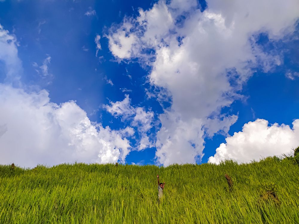 Photograph by Md Raihan