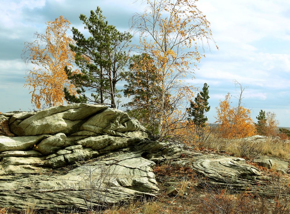 Photograph by Евгений Медведев