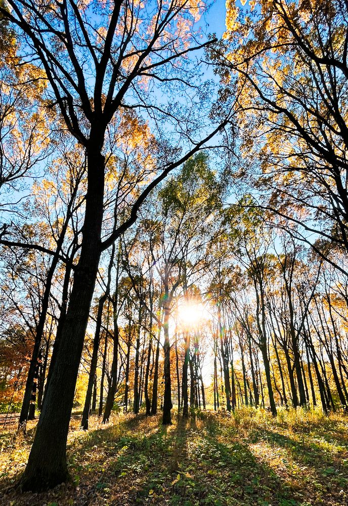 Photograph by Татьяна Шевченко