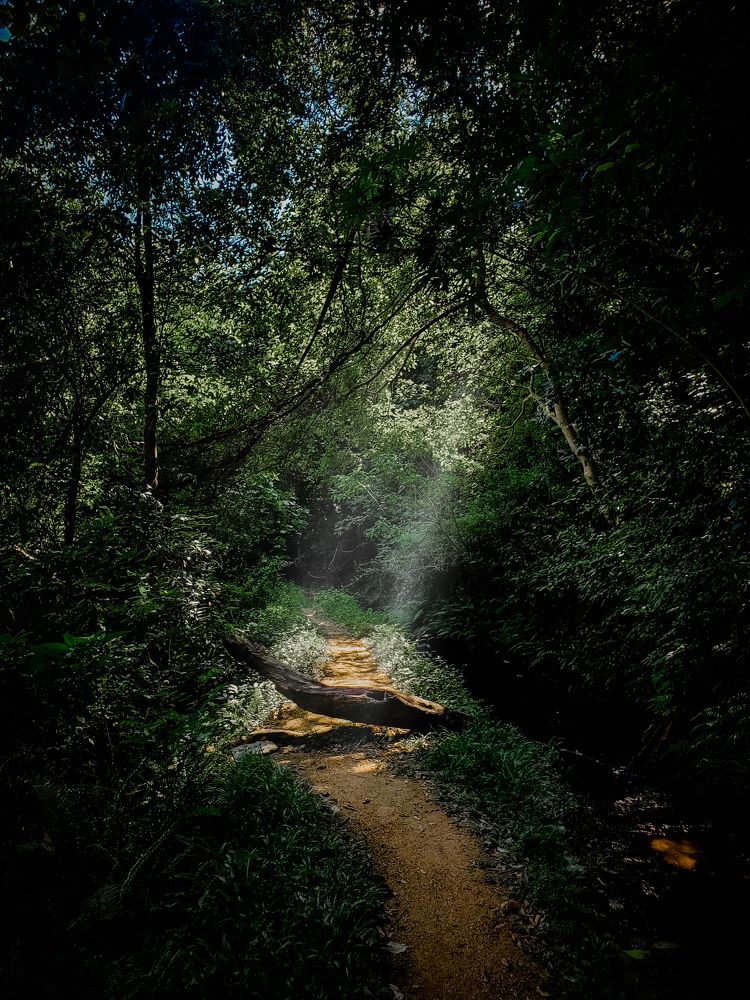 Photograph by DINETH NAMBUKARAWASAM MAHASARANGU HEWAG