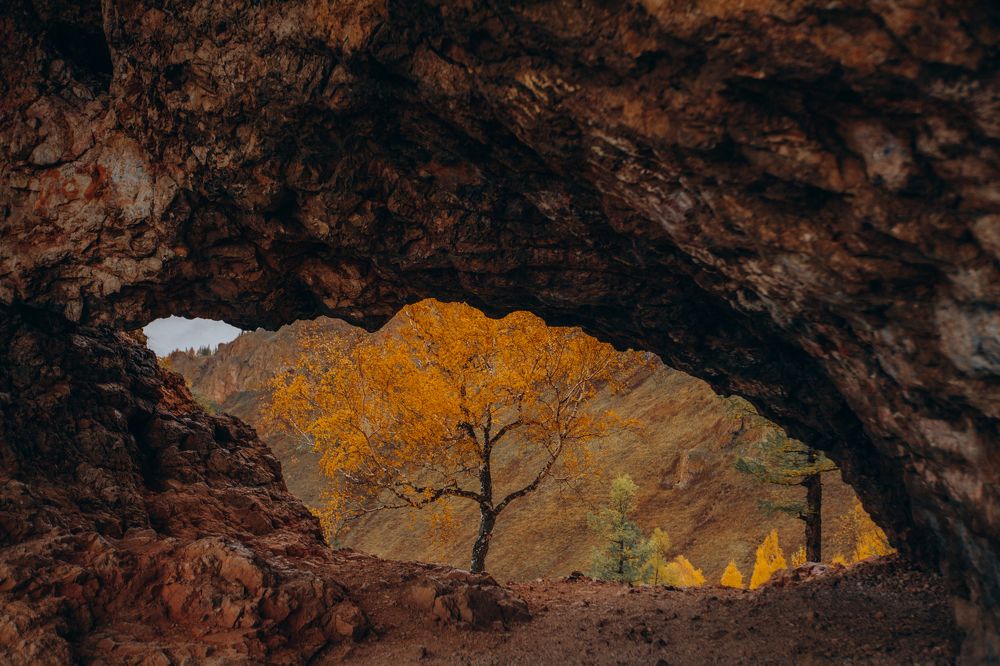 Фотография автора Анна Рыжкова