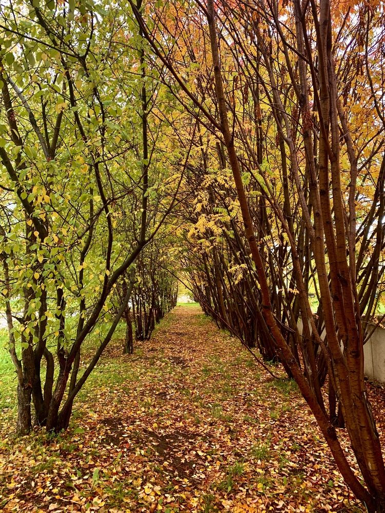 Photograph by Светлана Хохлова