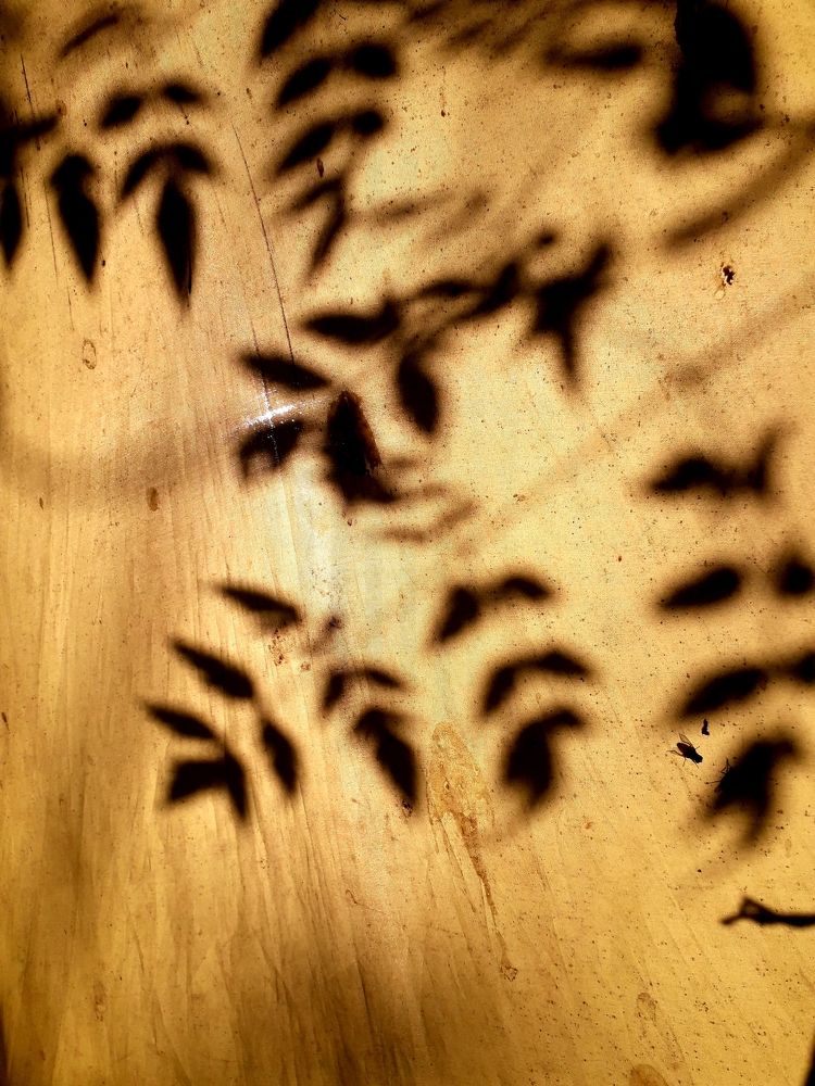 Photograph by bhardwaj vipin