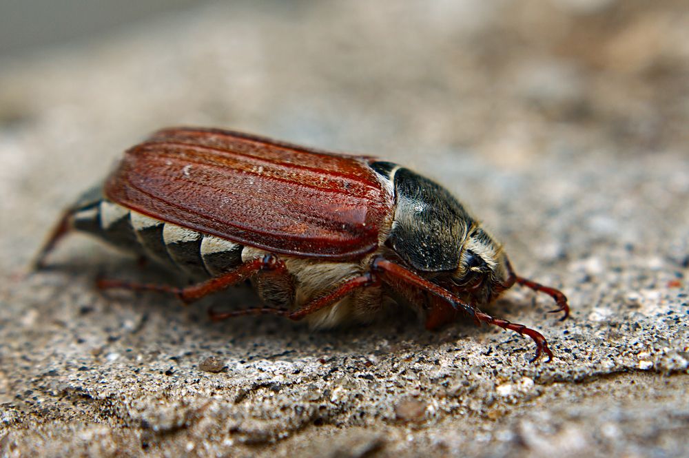 Photograph by Евгений Козлов