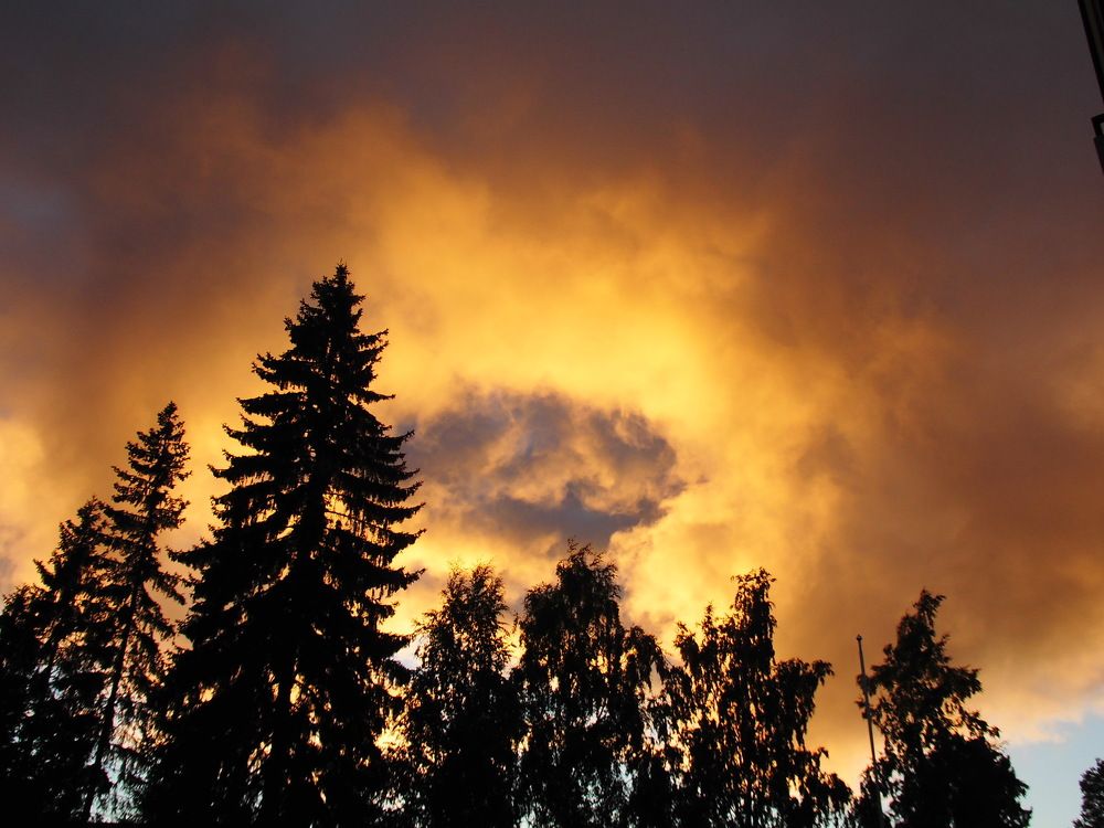 Всевидящее око