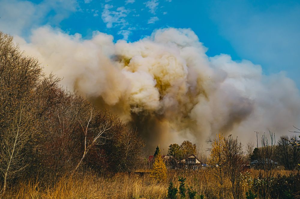 Photograph by Жанна Макарова