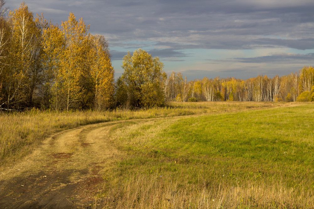 Приволье