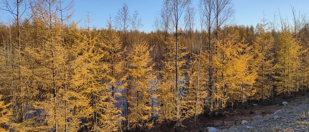 Photo #8166521