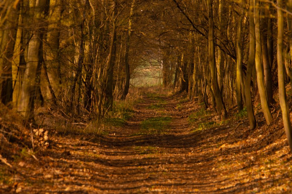 Photograph by Jirka Niš