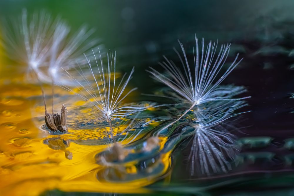 Photograph by Николай Фонарёв