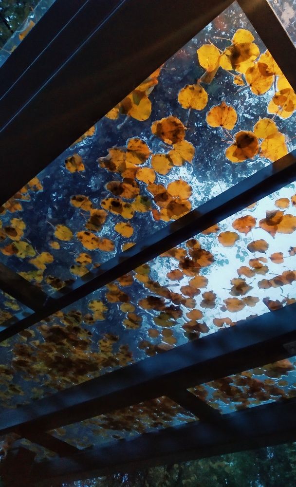 Photograph by Людмила М