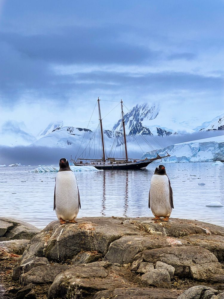 Photograph by Александр