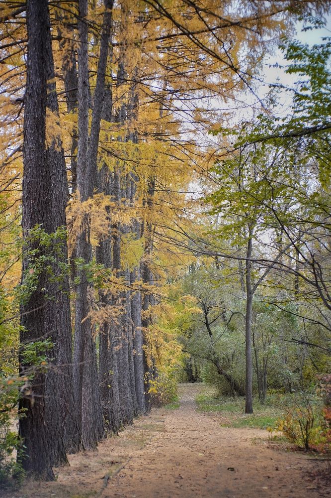 Photograph by Высотских Владимир