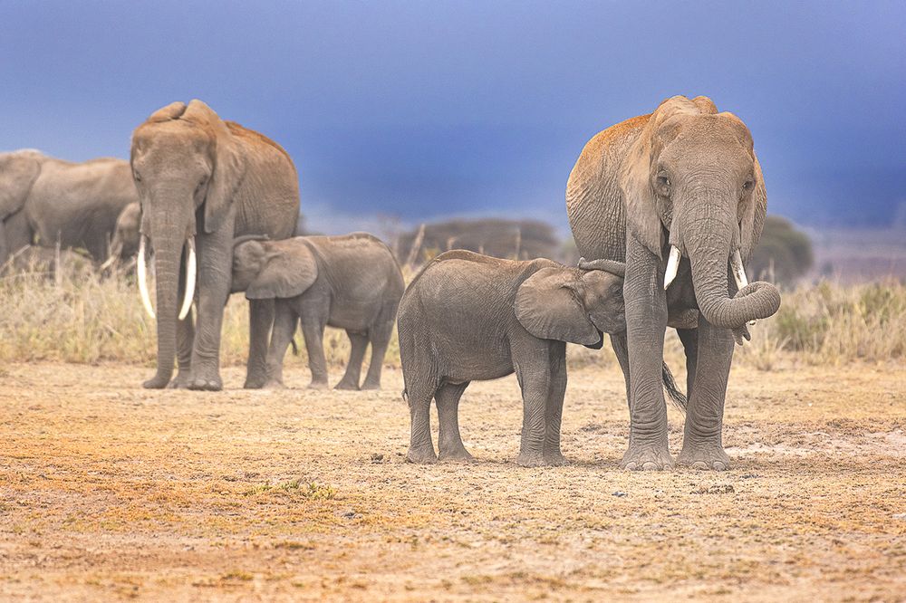 Photograph by Anuradha Agrawal