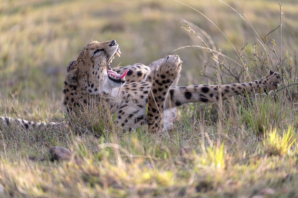 Photograph by Anuradha Agrawal