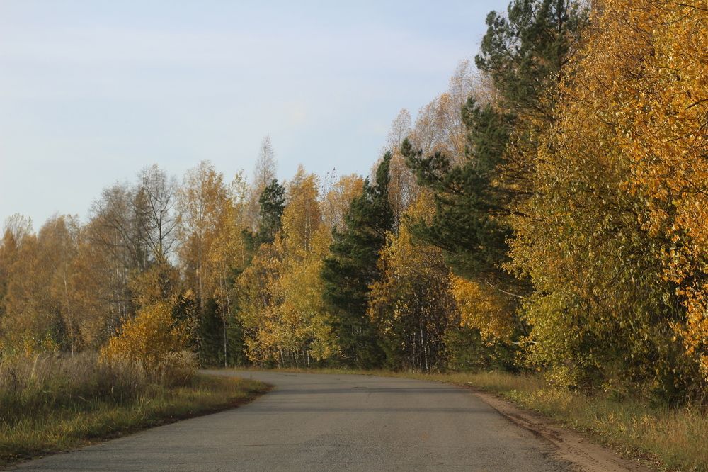 Photograph by Ксения Широбокова