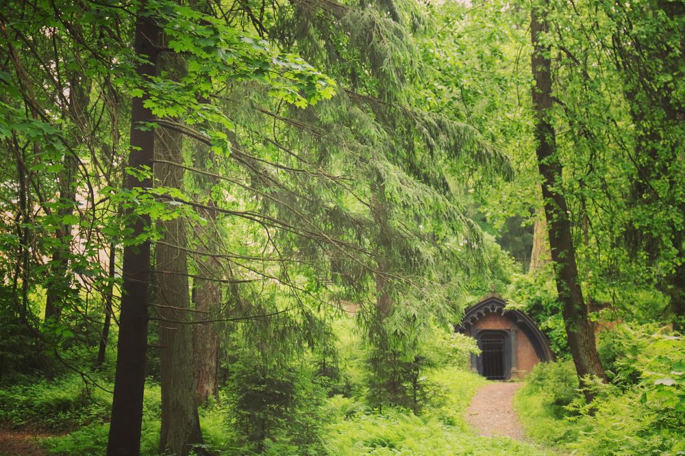 Photograph by Вячеслав Савицкий