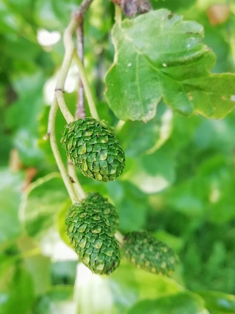 Photograph by Екатерина Чижевская