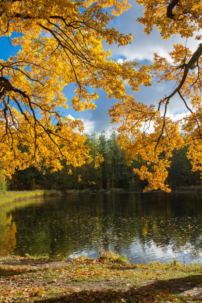 Photograph by Olga Min