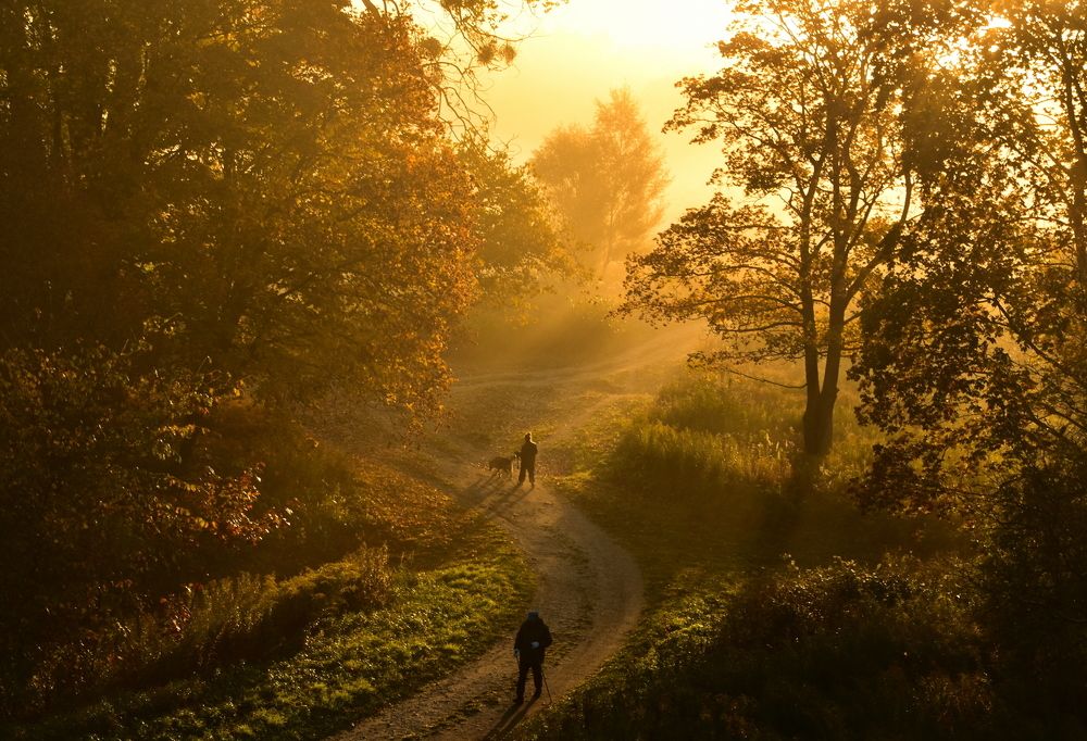 На утренней прогулке