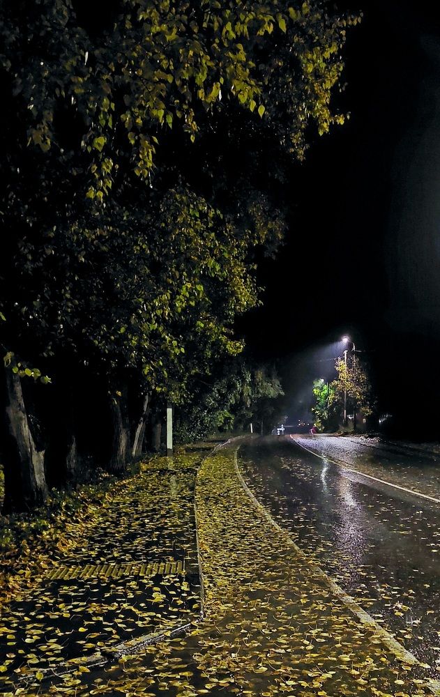 Фотография автора Виталий Петров