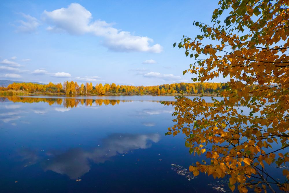 Photograph by Дмитрий Цыпляев