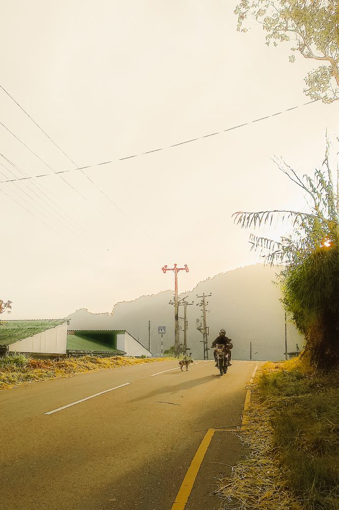 Photograph by Tharindu Deshan