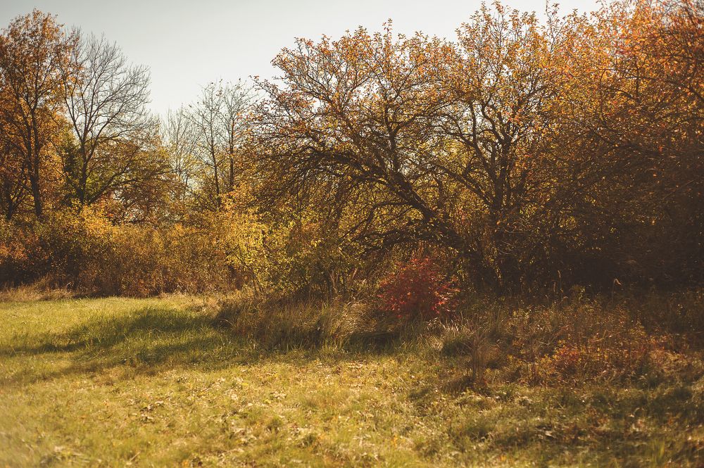 Photograph by Тамара Козлова