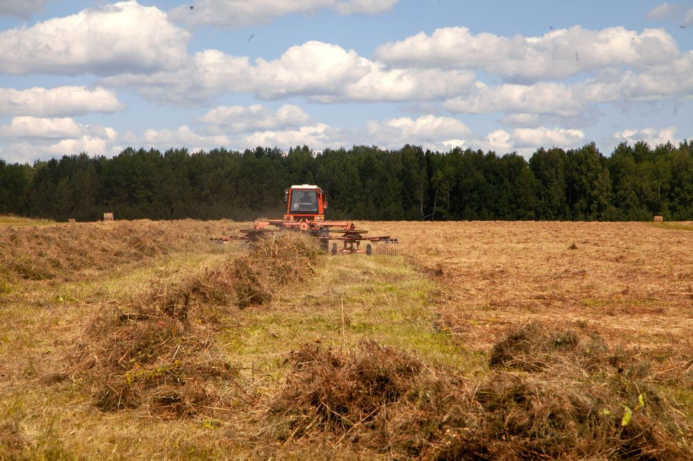 Photograph by Лариса Цепелева
