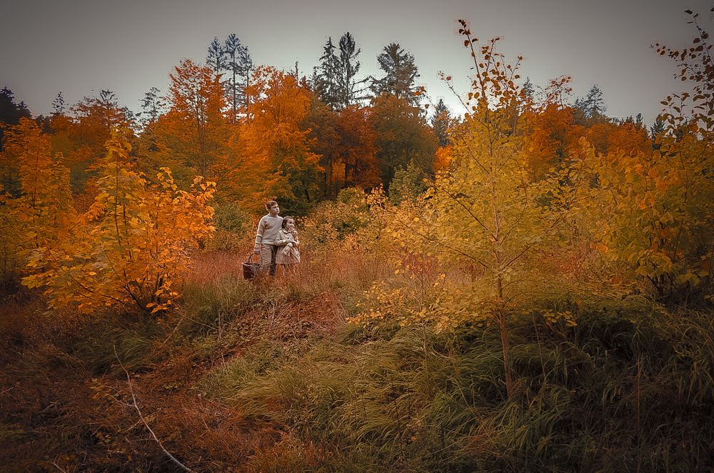 Осенние дни