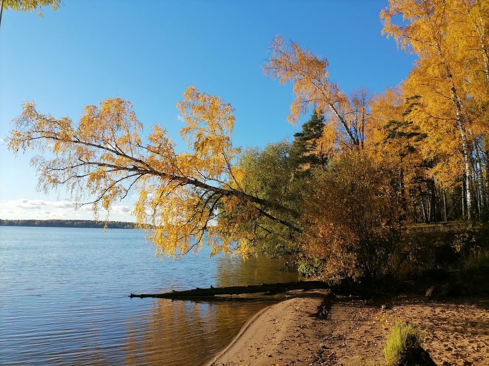 Фотография автора Елена Бракоренко