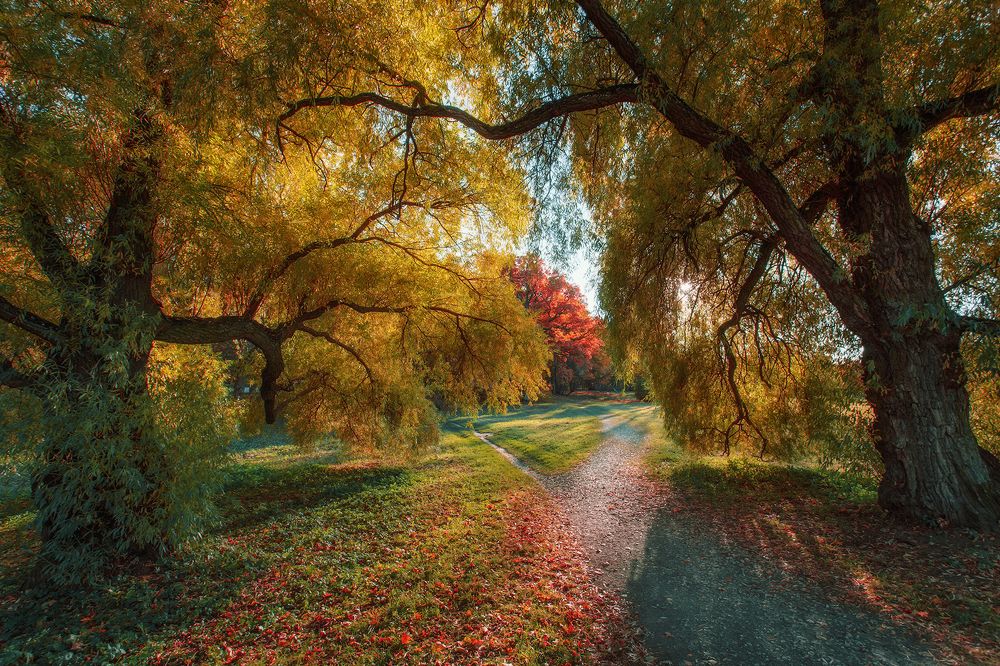 Photograph by Aare Treiel