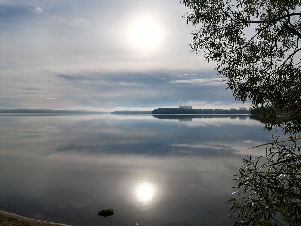 Фотография автора Елена Бракоренко