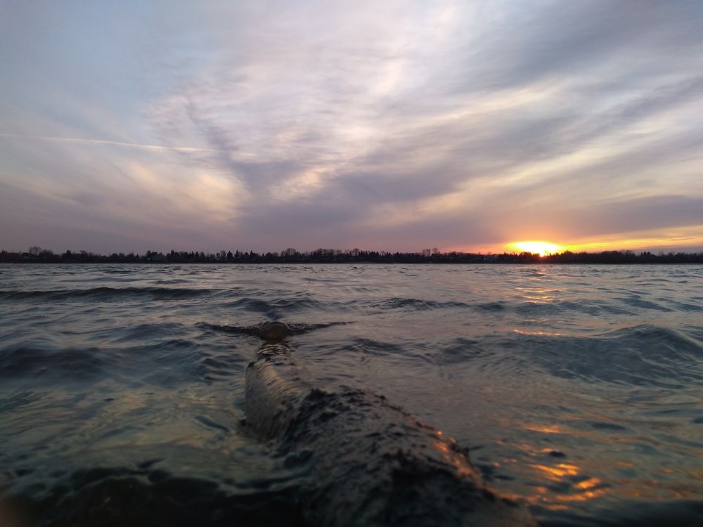 Photograph by СТЕПАН ДЖУЛАКИДЗЕ