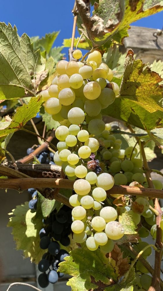 Photograph by Светлана Фесенко