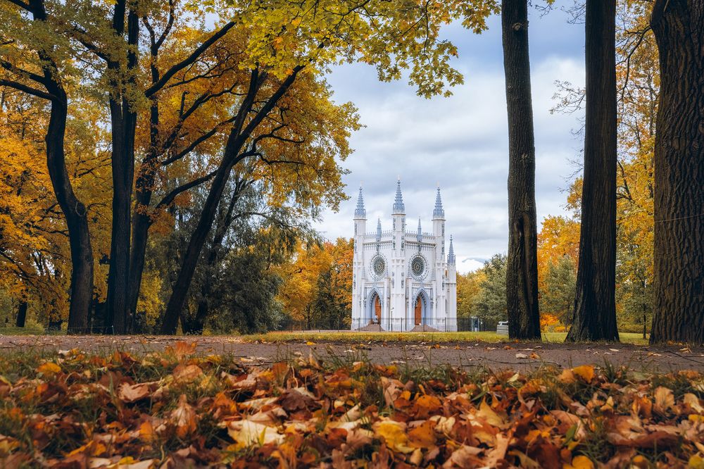 Фотография автора Майя Афзаал