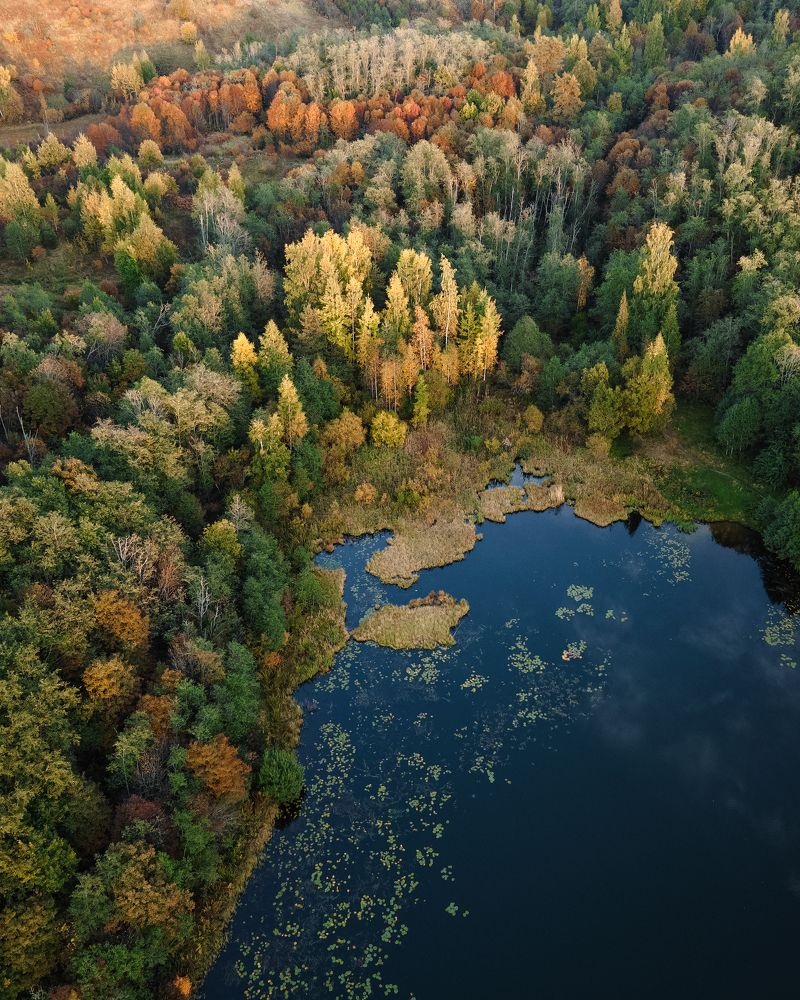 Photograph by Елизавета Белоусова