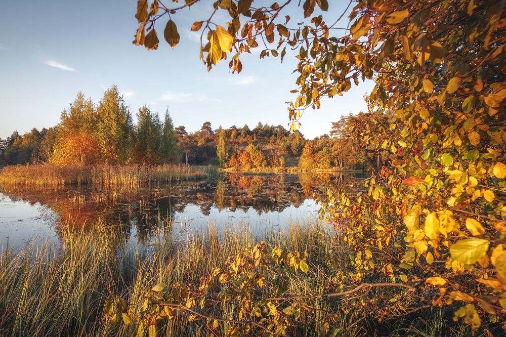 Photograph by Елизавета Белоусова
