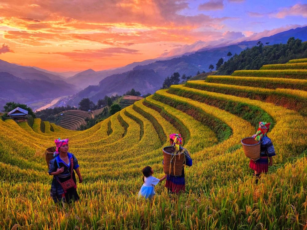 Photograph by Tran Phuong