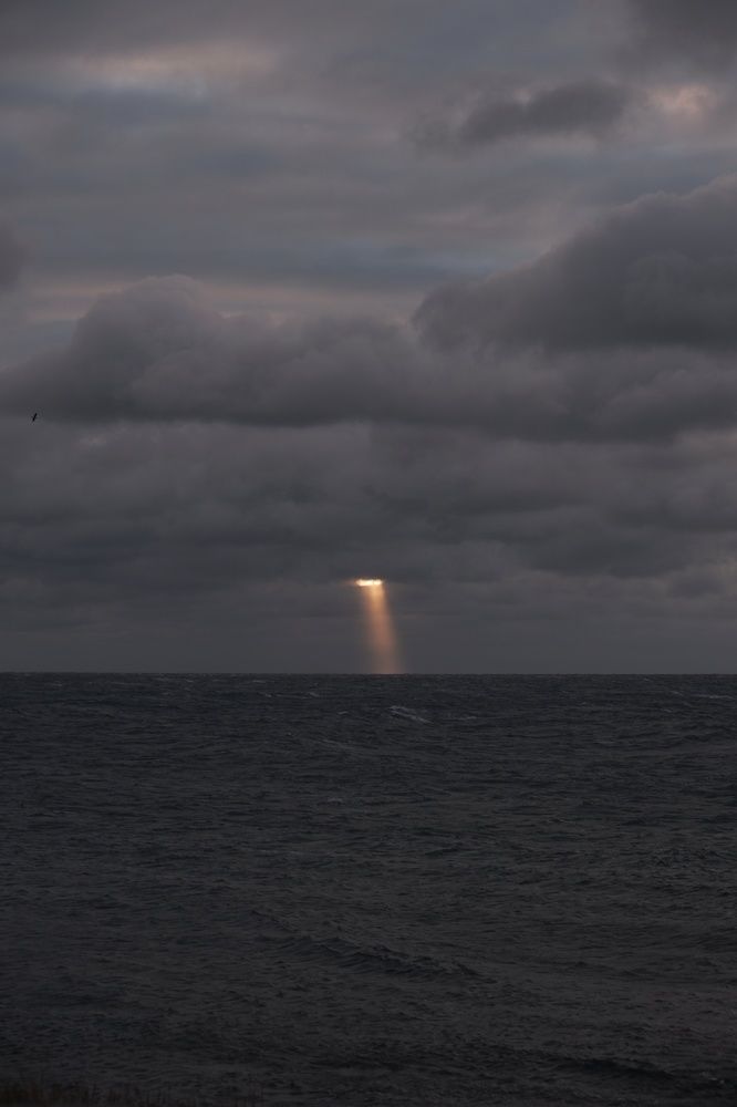 Photograph by Пузан Александр