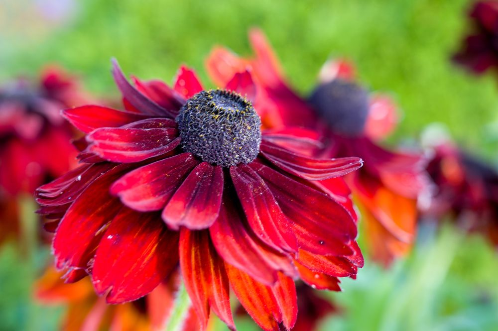 Photograph by Ирина Мошковская